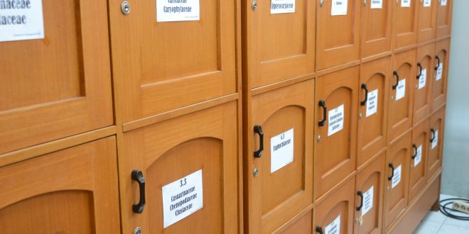 Lemari Penyimpanan Herbarium Malangensis