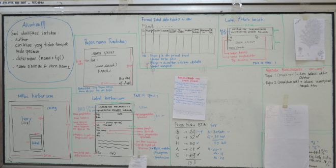 Announcement Herbarium Malangensis