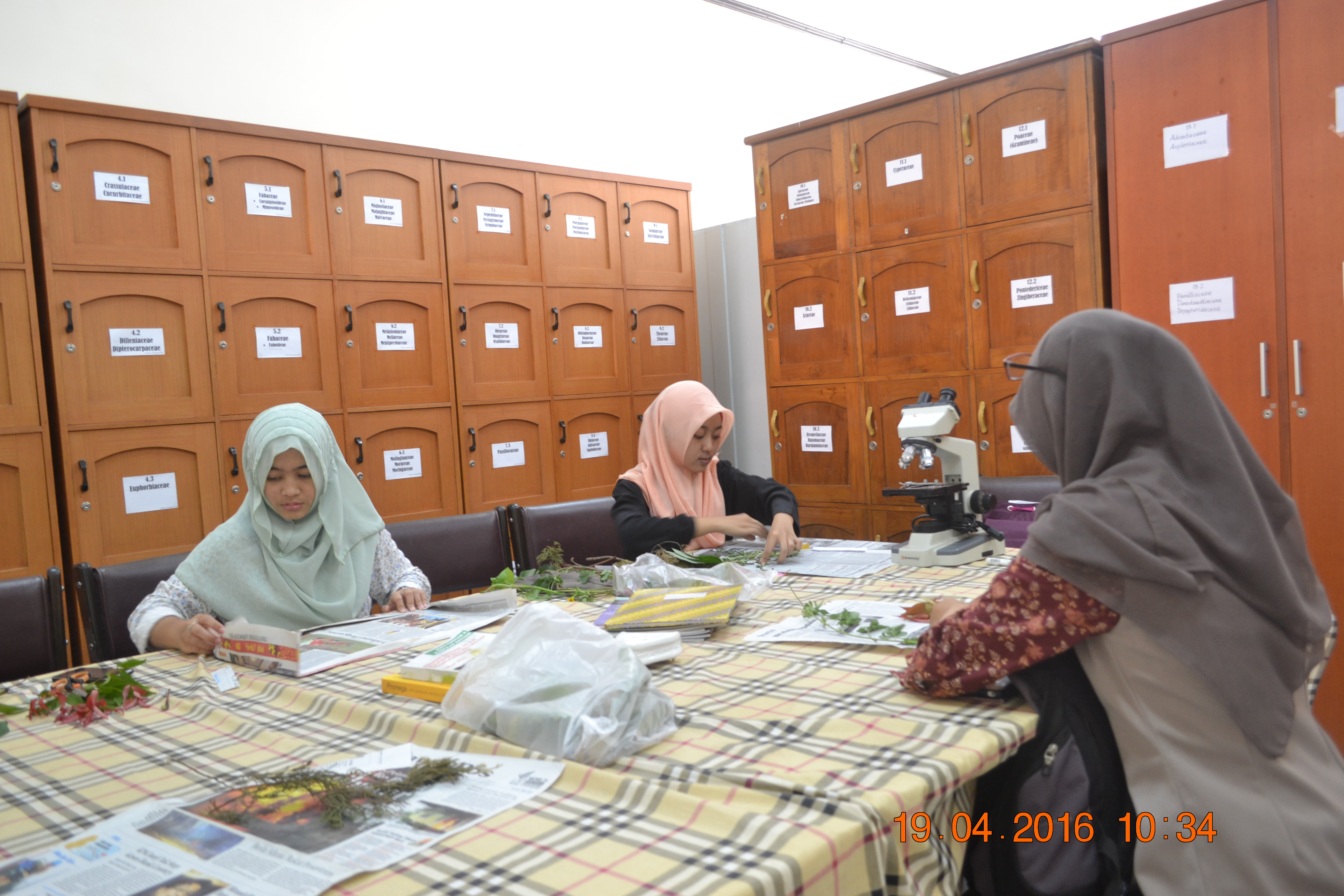 Kegiatan Mahasiswa/i di Herbarium Malangensis